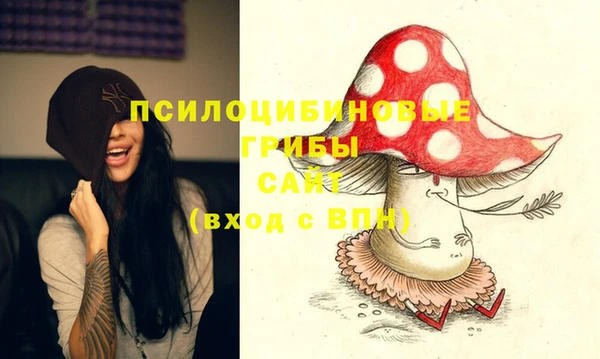 PSILOCYBIN Балахна